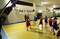 Basket 443035